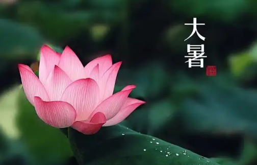 今日大暑:夏正濃,注意養生 今日大暑:夏正濃,注意養生