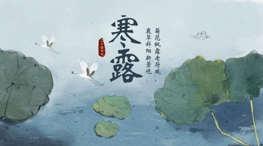 寒露|已然深秋 寒露|已然深秋