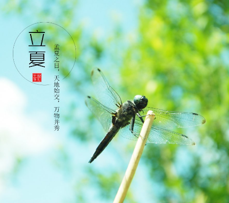 手機(jī)貼膜加盟